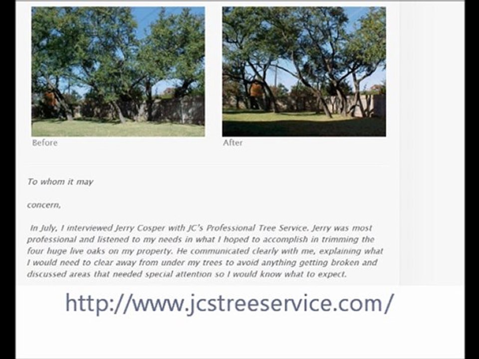 Tree Service Austin