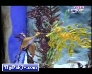 Yeh Kia hay By Ptv Home 11th March 2012 --Prt 2