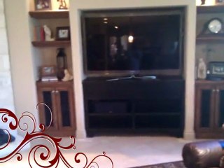 Painter For A Day | (210) 693-1545 | RENT A PAINTER San Antonio, Texas