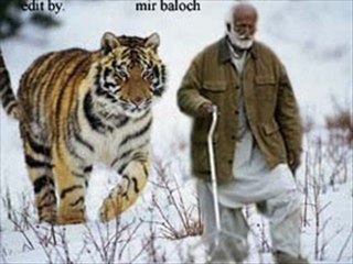 indian revolutionary song with baloch pictures tribute to baloch nation