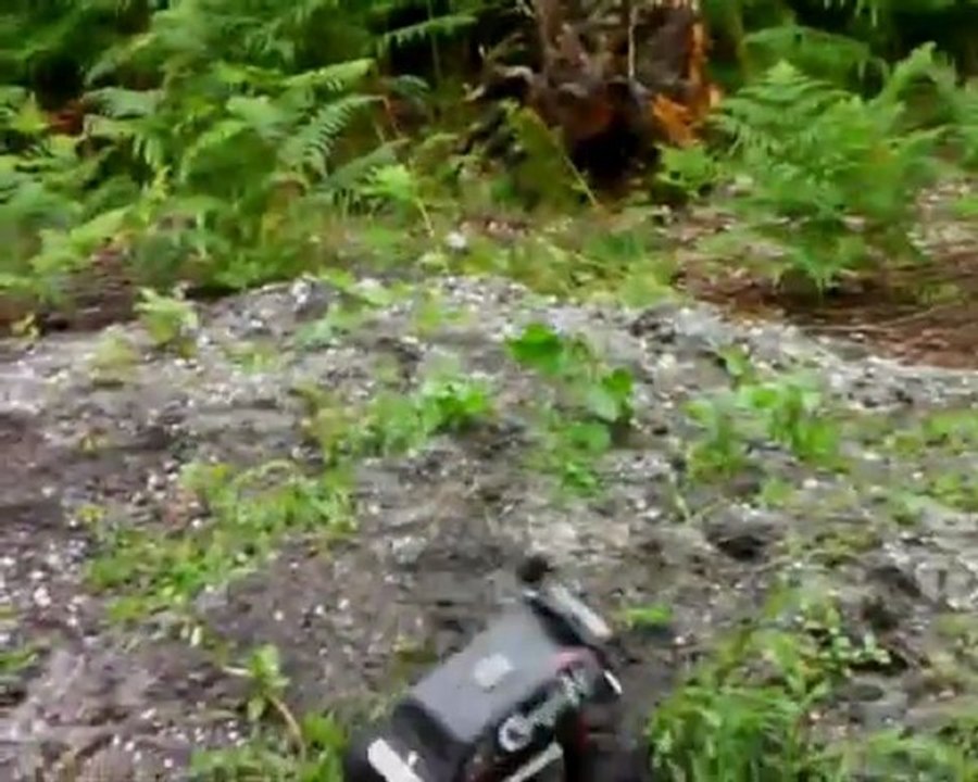 1/12 rc tamiya lunch box el kazalunch in forest part 4