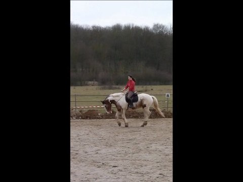 seance corde / licol le 10.03.12