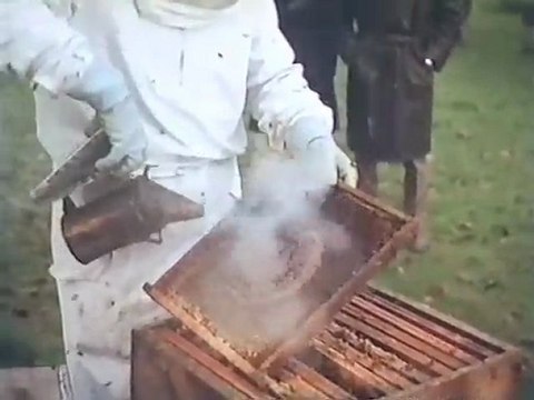 Alain Delon & Mireille Darc - Beescene in Jeff, 1969