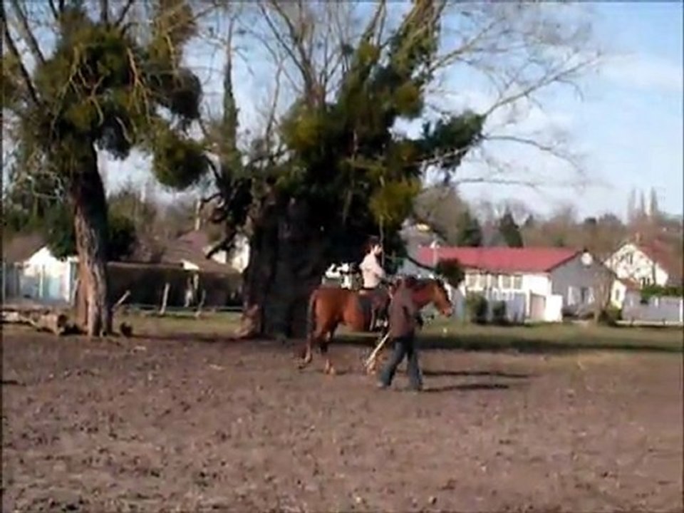 vivi monté seance 1