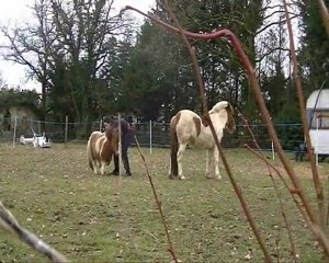 bianca, 10 mois et demi