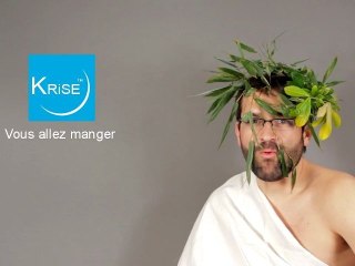 La crise grecque (parodie Krys) par le SDLE