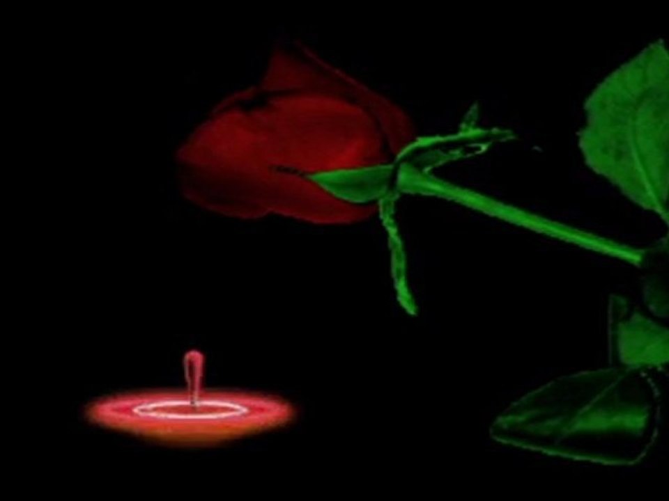 KIRMIZI GÜL DEMET DEMET__YAVUZ BİNGÖL