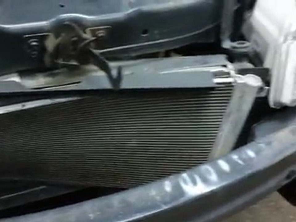 Racoon vs Chevy Cobalt