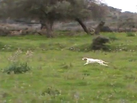 ARNO MEMIS DI KOS - CİCİ DEL AKGÜN