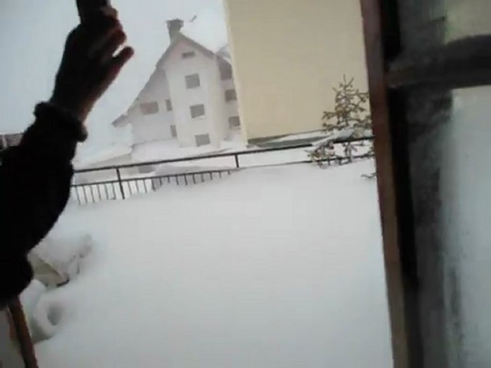 MOV01541