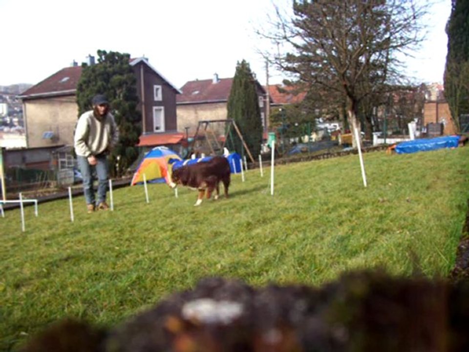 agility version familial