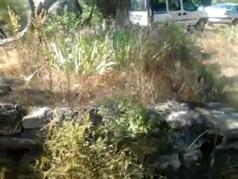 Hüseyin Gazi Mezarı - Niksar Hüseyingazi Köyü