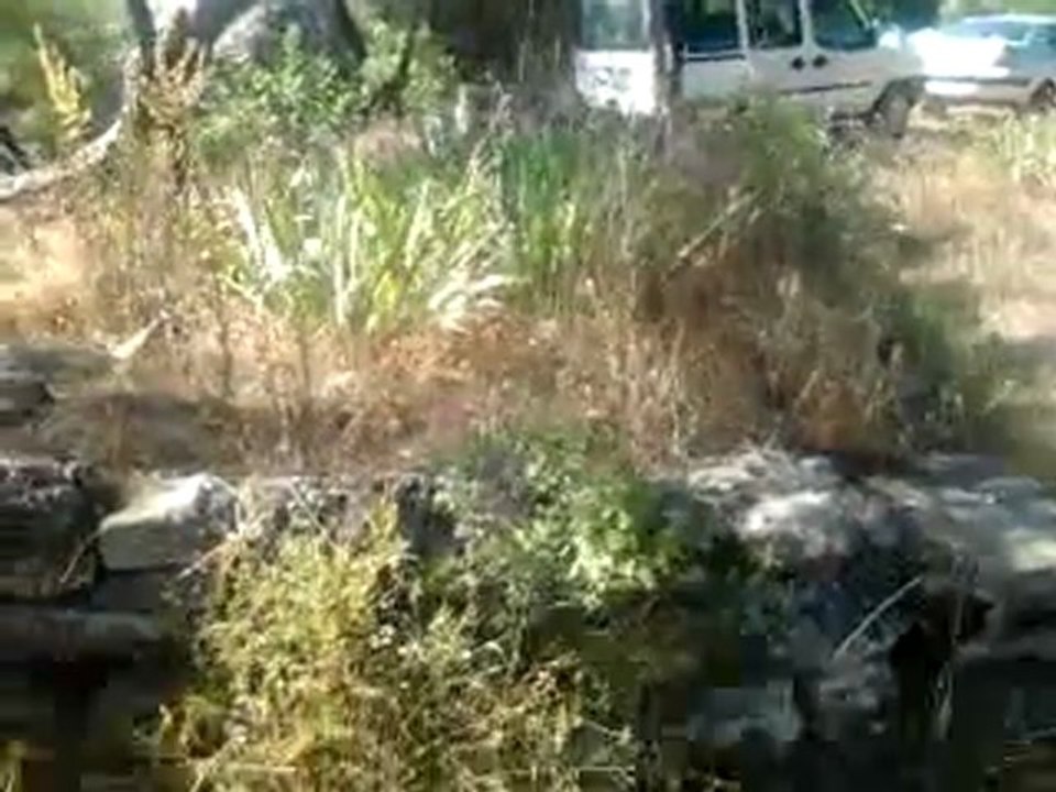 Hüseyin Gazi Mezarı - Niksar Hüseyingazi Köyü