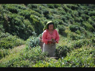 On a posé nos valises 2 INDIA