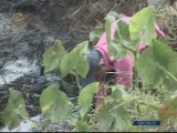 Gobernador de Monagas: Este miércoles se anunciará si el agua vuelve a ser apta para consumo humano