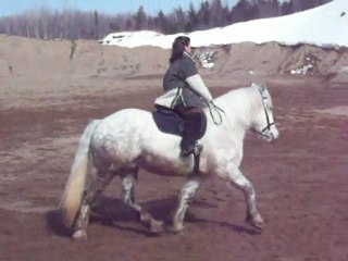 Silver au pite de sable 01