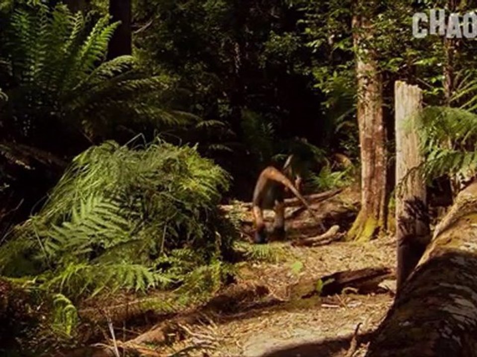 Vor 200 Millionen Jahren - Saurier Hautnah - Teil 1 _ Part 2 von 4