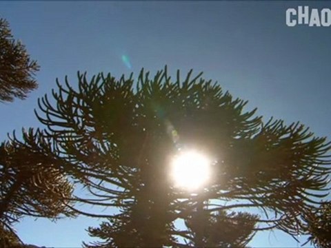 Vor 150 Millionen Jahren - Saurier Hautnah - Teil 1 _ Part 4 von 4