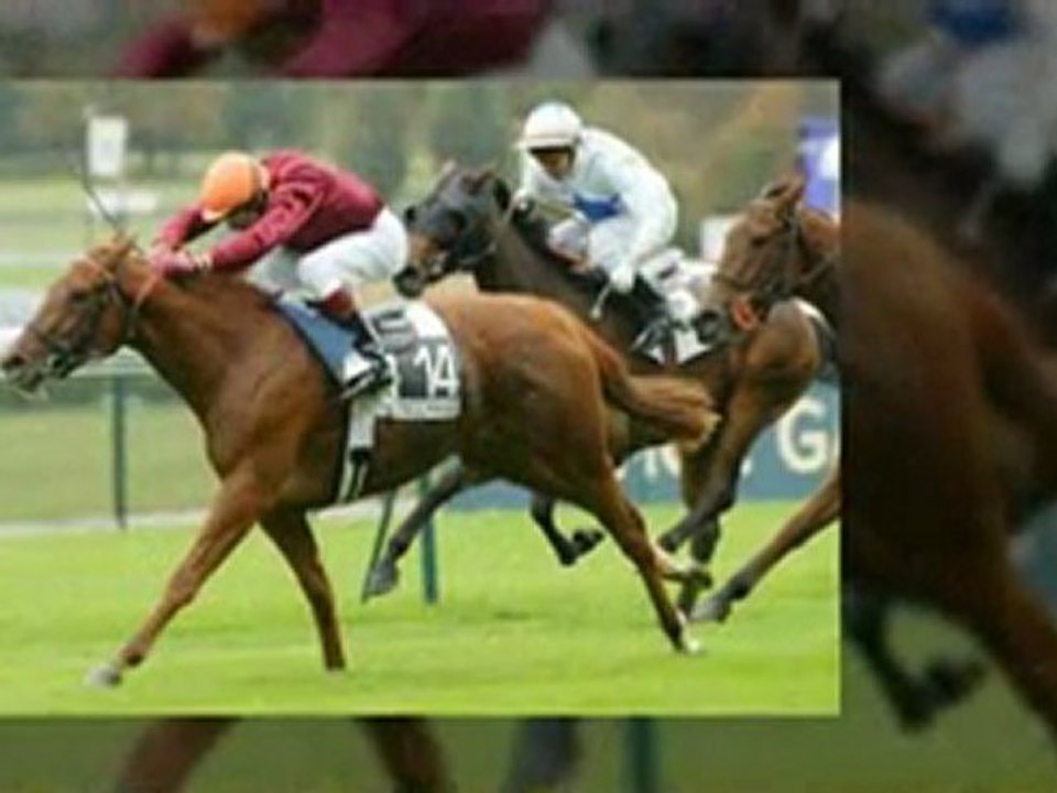 Horse Racing Tips - Free Horse Racing Tips for Today