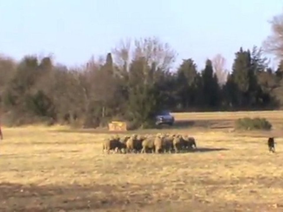 F'Cool Istres février 2012