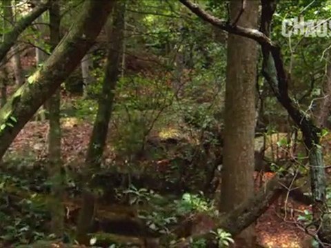 Vor 90 Millionen Jahren - Saurier Hautnah - Teil 2 _ Teil 1 von 3