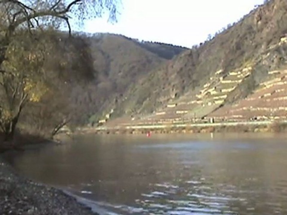Niag re481, br152, br181, skl, br143 winningen dieblich moseltalbrücke