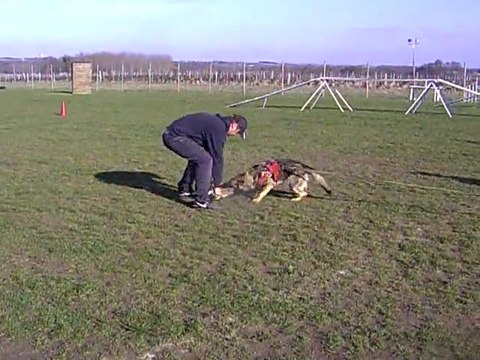 FLOW des Côteaux du Lys en ring