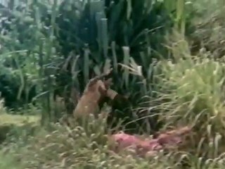 January 1st - Pranks That Help