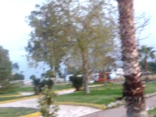 martılar-FİNİKE(Levent)