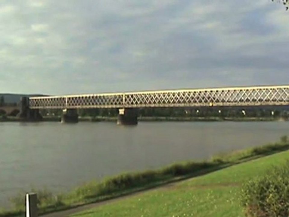 Rheinbrücke urmitz br185, 2x br151, br143 und rheinschiffe