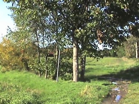 HGK Mak DE1002, BR628, BR644 und diverse Straßenbahnen bei Hürth Fischenich