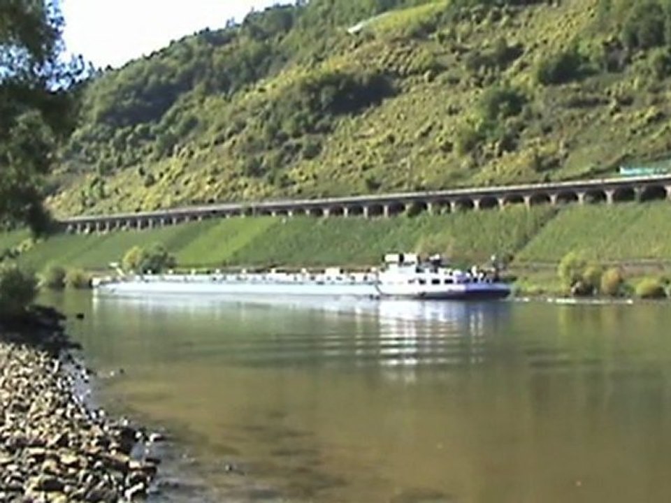 Pünderich a.d. Mosel BR181, 4x BR143, BR425, BR628