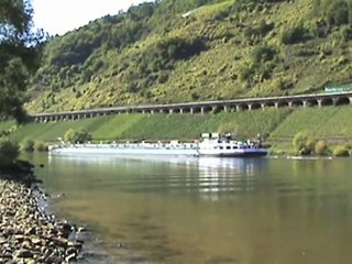 Pünderich a.d. Mosel BR181, 4x BR143, BR425, BR628