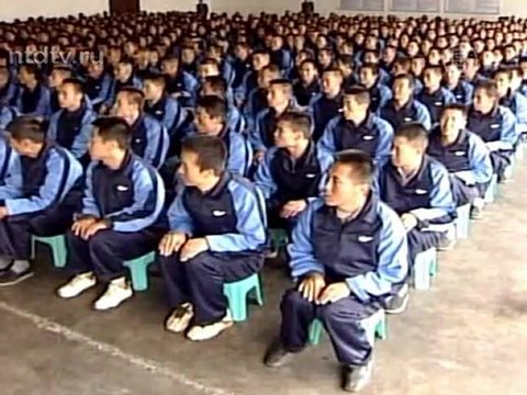 В Китае органы извлекают у приговоренных к казни