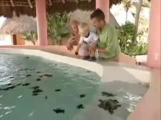 Golf Properties in Mexico