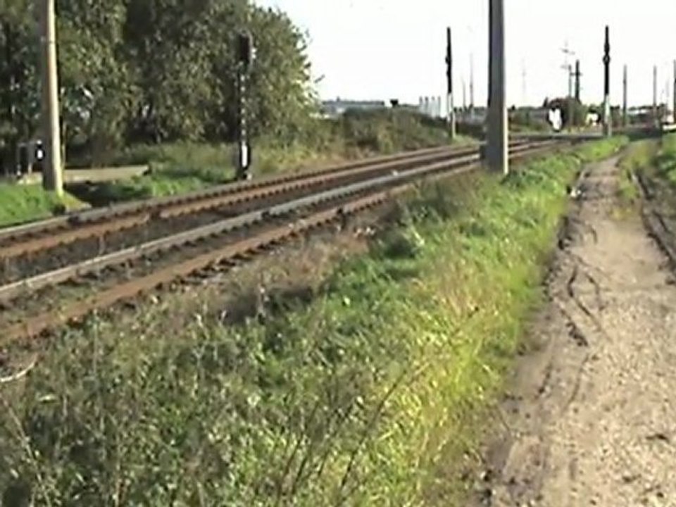 Brühl Hürth - Fischenich HGK Mak 1002, 3x BR644 und diverse Straßenbahnen