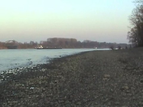 Andernach Neuwied Rheinschiffe, 3x BR185, BR143