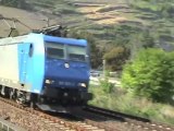 Oberwesel, SBB Cargo Re482, Alpha-Trains BR185, 2x BR152, BR120, 2x BR101, 2x BR143, BR643, 2x BR460
