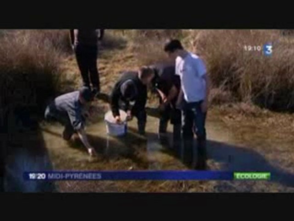 Clubnature : CRAPAUDS Lycée agricole et  forestier J.Monnet Vic en Bigorre