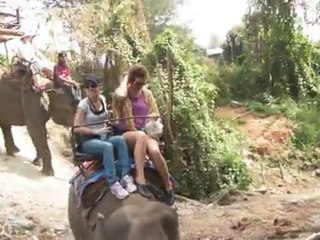 Elephant Trekking in Thailand