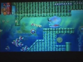 Super Mario Bros Wii , Walkthrough Part 3