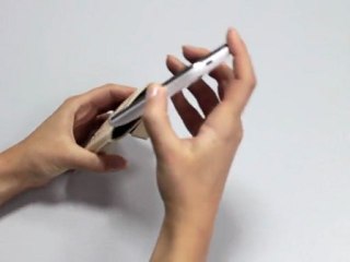 iPhone 3G  3GS Crystal Case - Wonderland White Rose