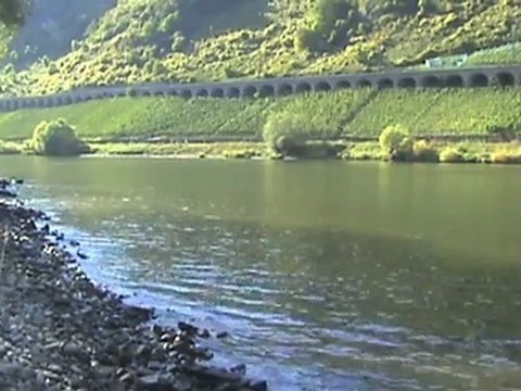 Pünderich a.d. Mosel, BR140, SNCF Prima, 2x BR189, BR628, BR425, BR143