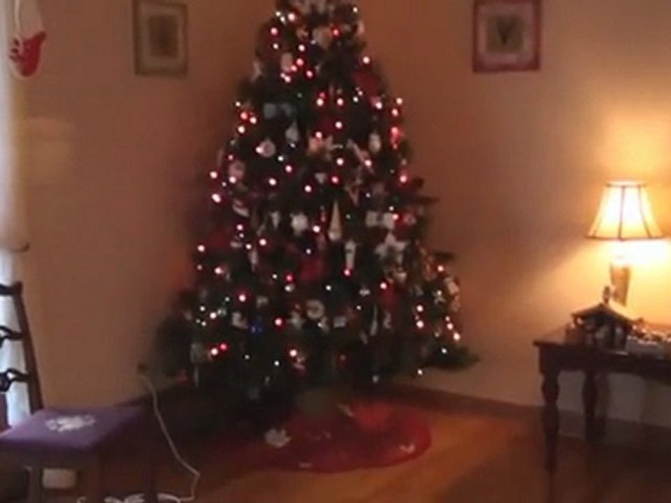 Christmas Tree 2011