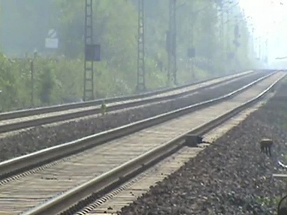 Bad Honnef - Rheinbreitbach, BR140, 2x BR143, 2x BR425