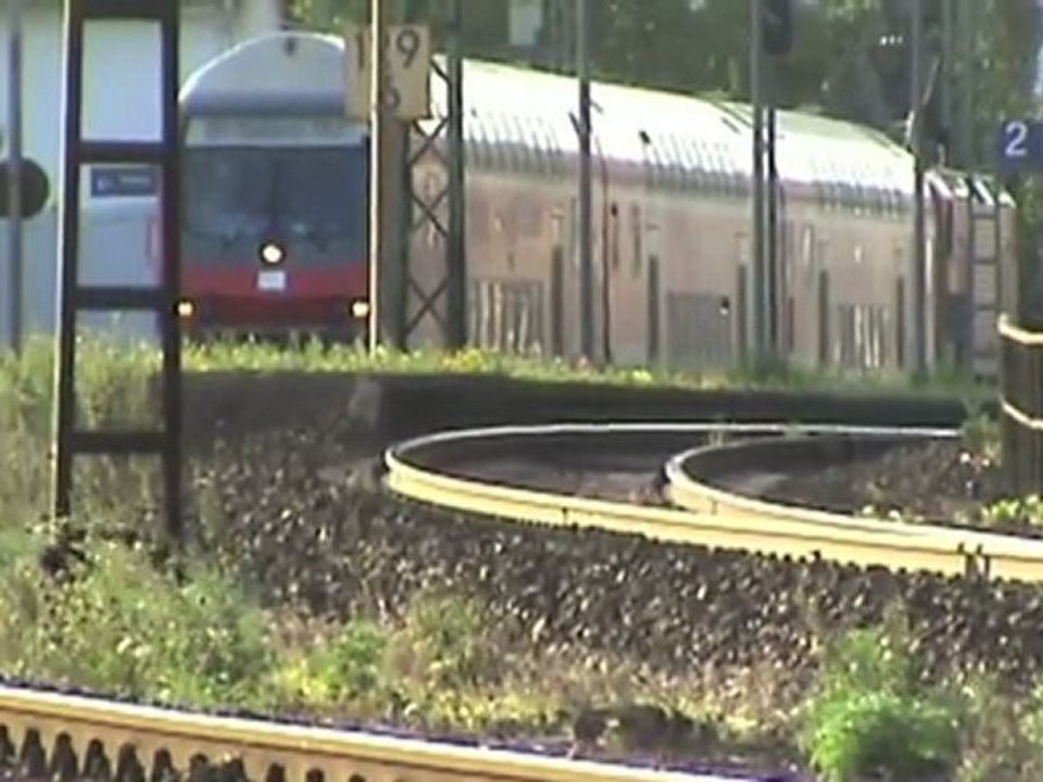 Leutesdorf am Rhein, BR189, SNCF Prima, 2x BR185, 2x BR425, BR143