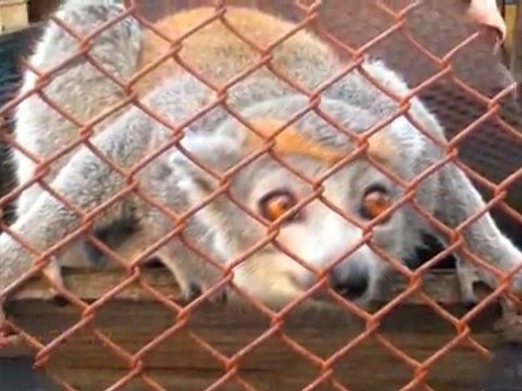 Travel Guide to Antananarivo, Madagascar