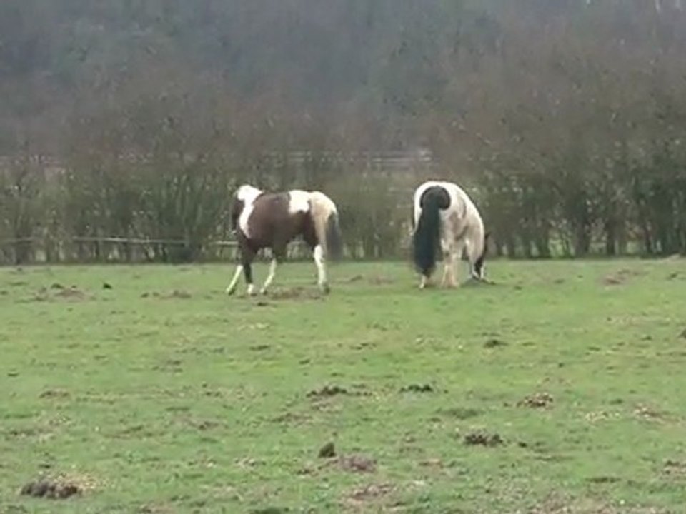 10.03.2012.j.integration