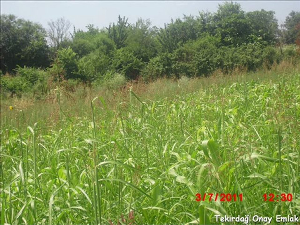 Tekirdağ barbaros Beldesinde Deniz ve Doğa Manzaralı Konut İmar Alanı içinde SatılıkTarla