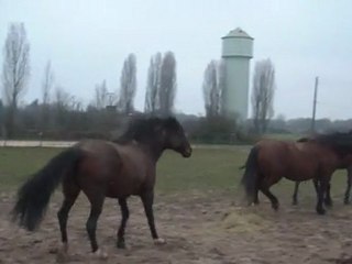 10.03.2012.r.integration